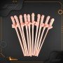 Pack of Ten Willy Straws Blow me KP-001
