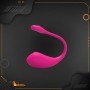 LUSH 2 REMOTE CONTROL VIBRATOR ACV-003