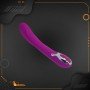 Pretty Love Wonder Rechargeable Waterproof Vibrator LXV-023